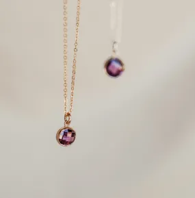 Birthstone Drop Necklace • February