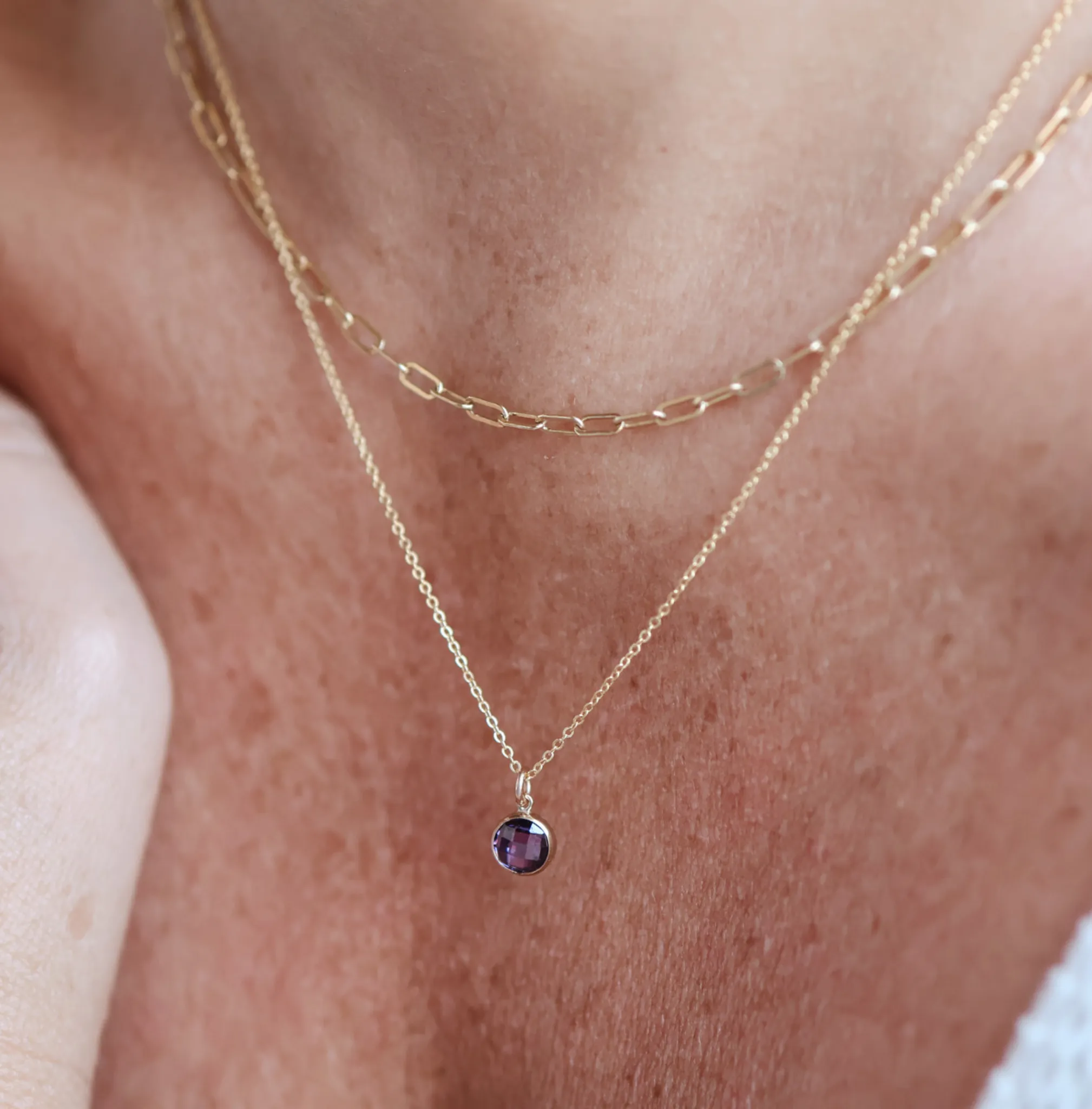 Birthstone Drop Necklace • February