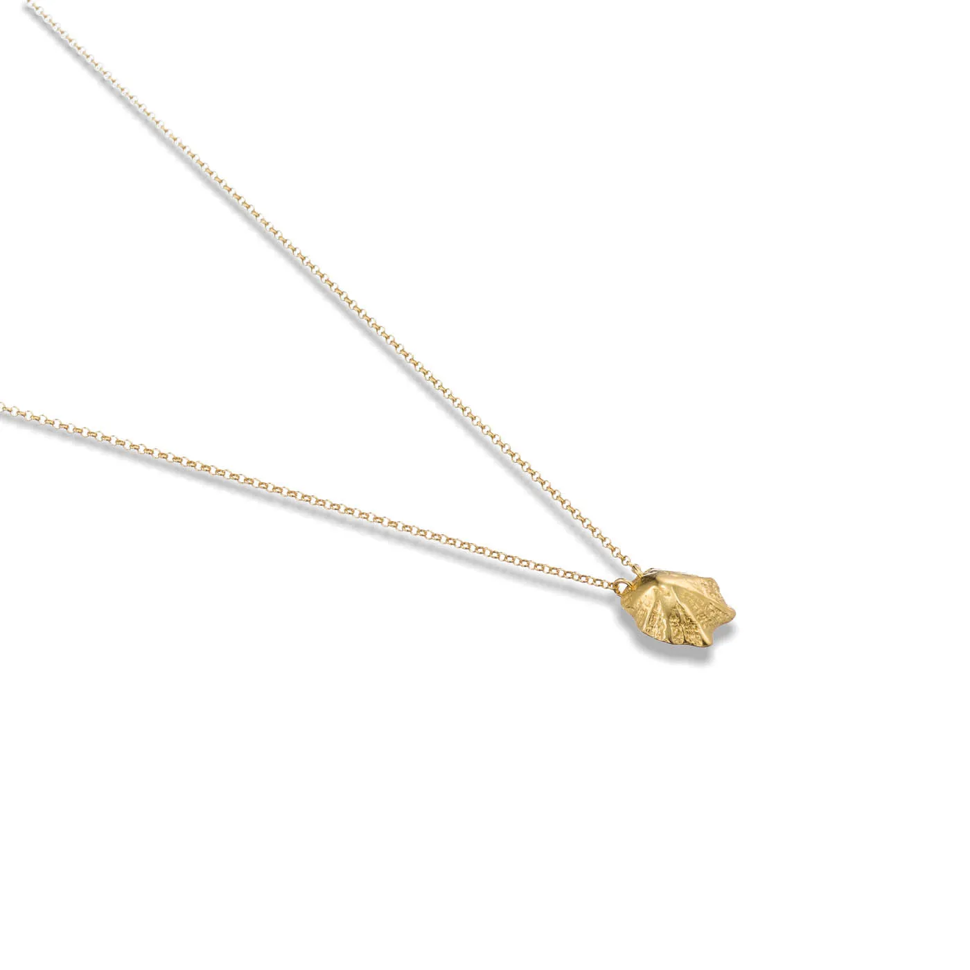 Rock limpet - chain necklace - silver 925 - gold plated