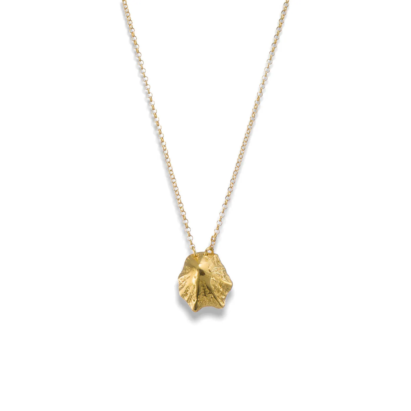 Rock limpet - chain necklace - silver 925 - gold plated