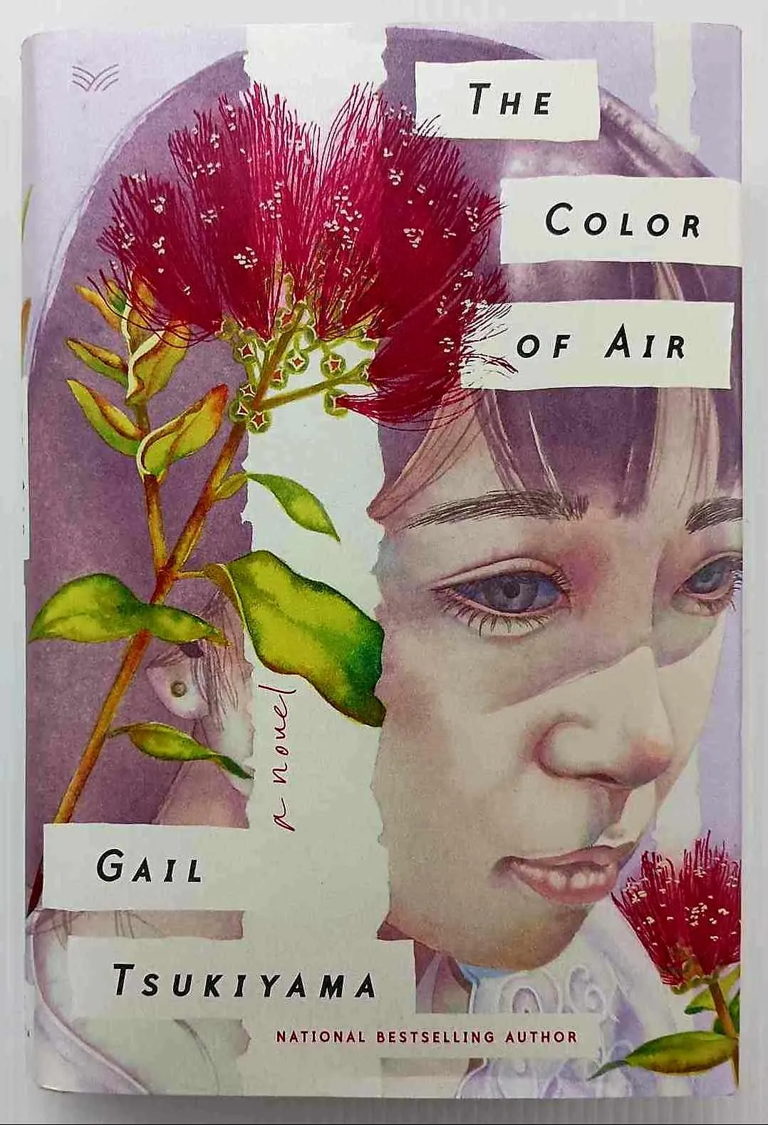 THE COLOR OF AIR - Gail Tsukiyama